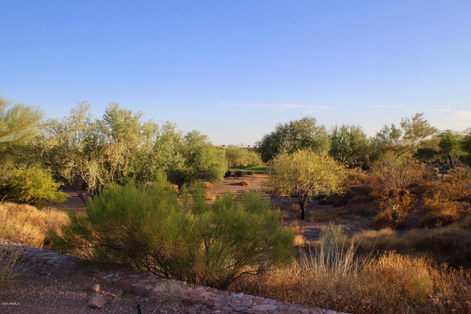 3149 S PROSPECTOR Circle, Gold Canyon, AZ 85118 — photo 23 of 35