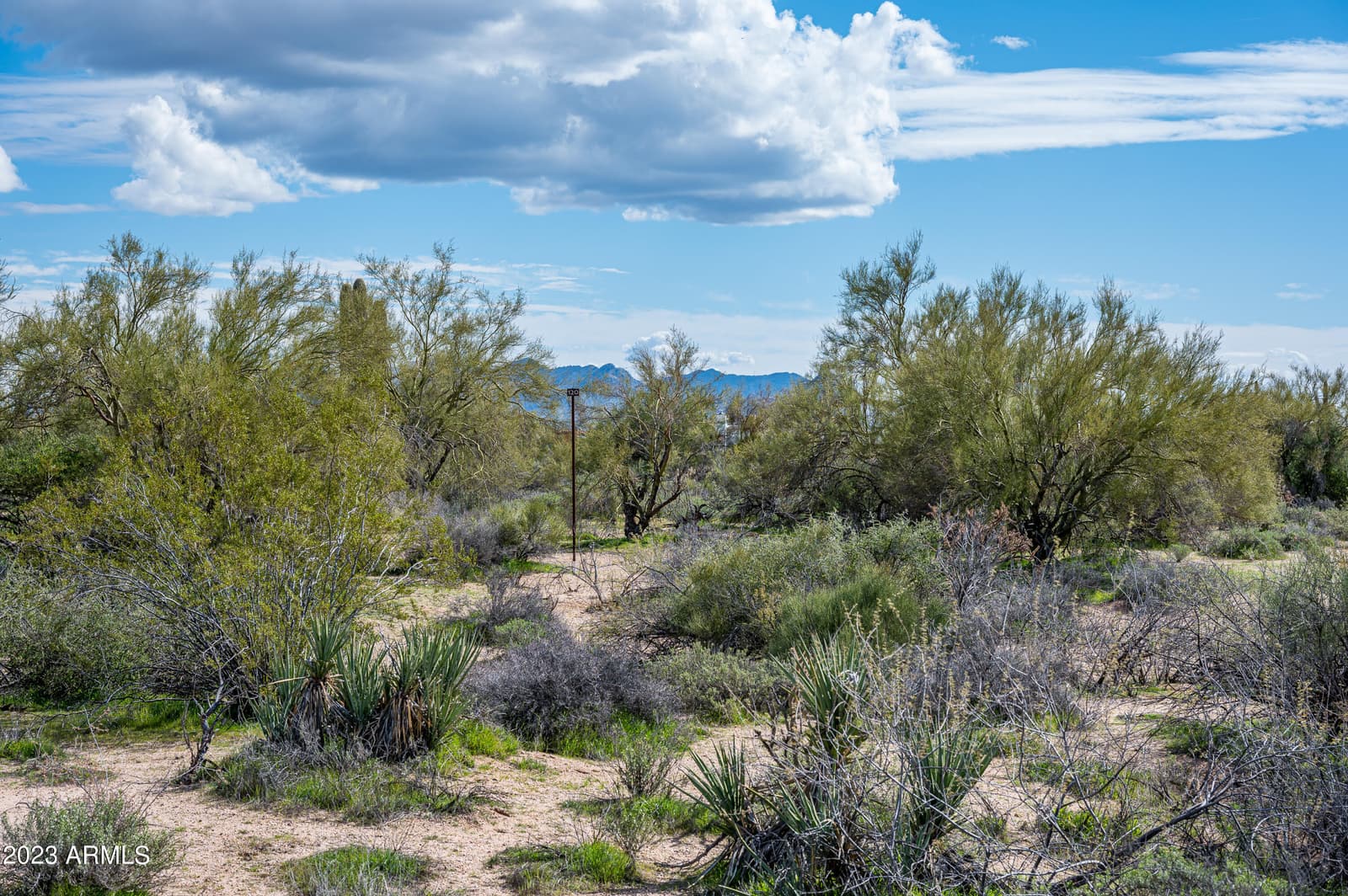 8627 E WHISPER ROCK Trail 120, Scottsdale, AZ 85266 — photo 35 of 37