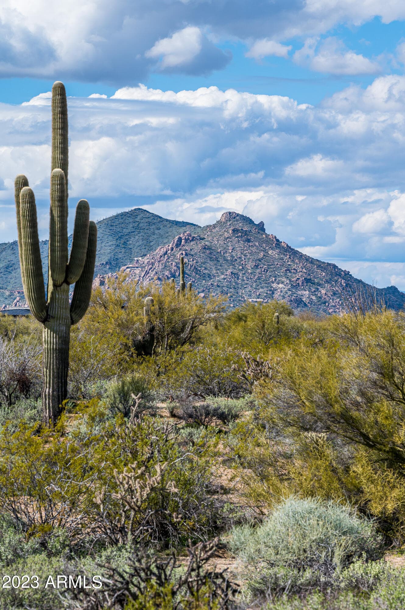 8614 E ARTISAN PASS Pass 125, Scottsdale, AZ 85266 — photo 21 of 24