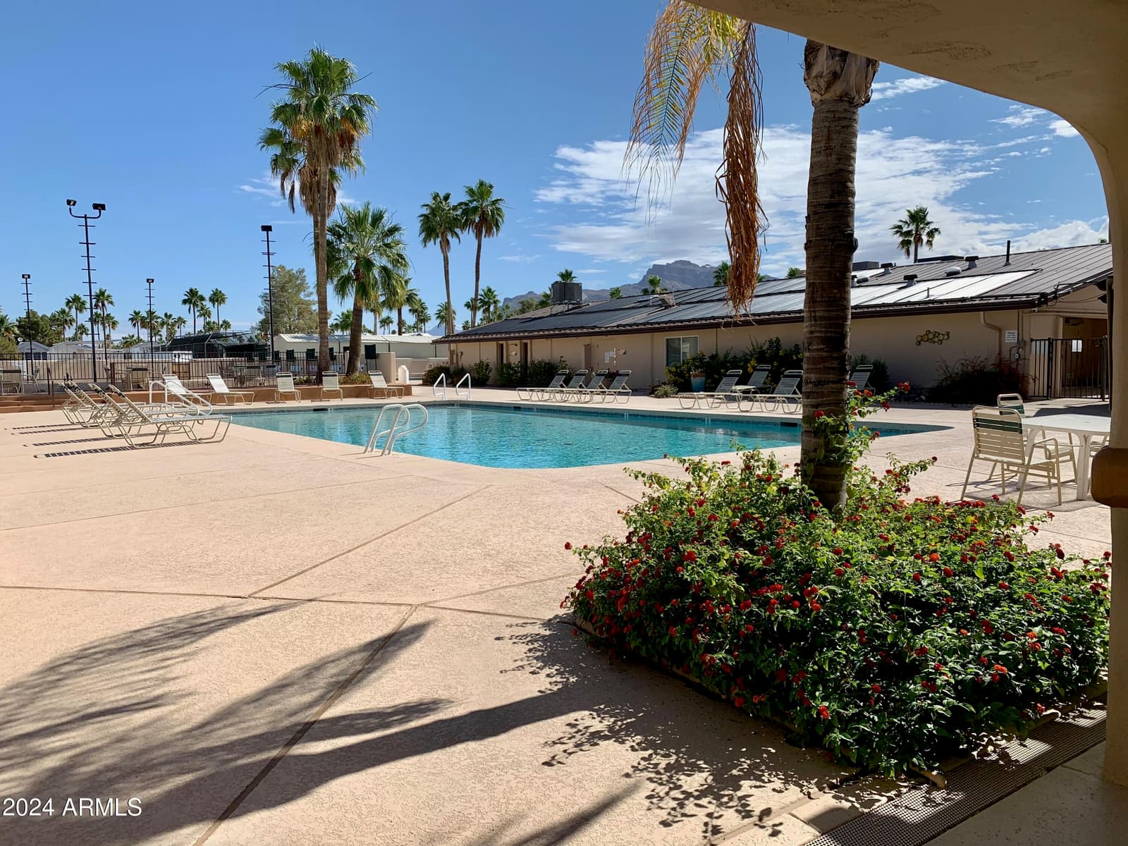 724 EMERALD Drive, Apache Junction, AZ 85119 — photo 41 of 68