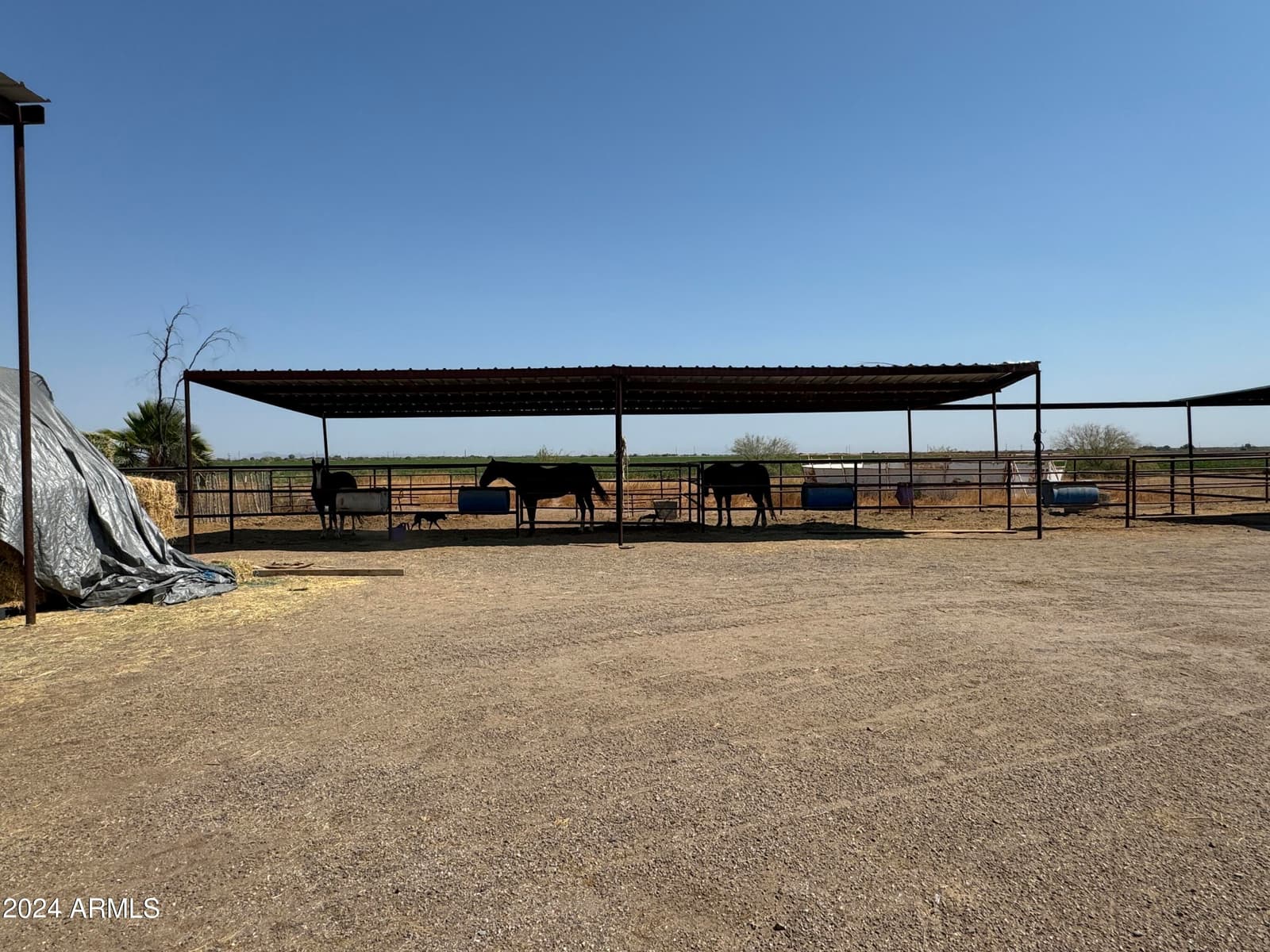 642 E CORNMAN Road, Coolidge, AZ 85128 — photo 45 of 66