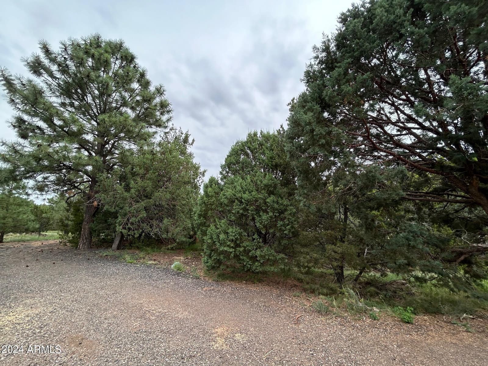 1467 COUNTY RD 3140, Vernon, AZ 85940 — photo 31 of 54