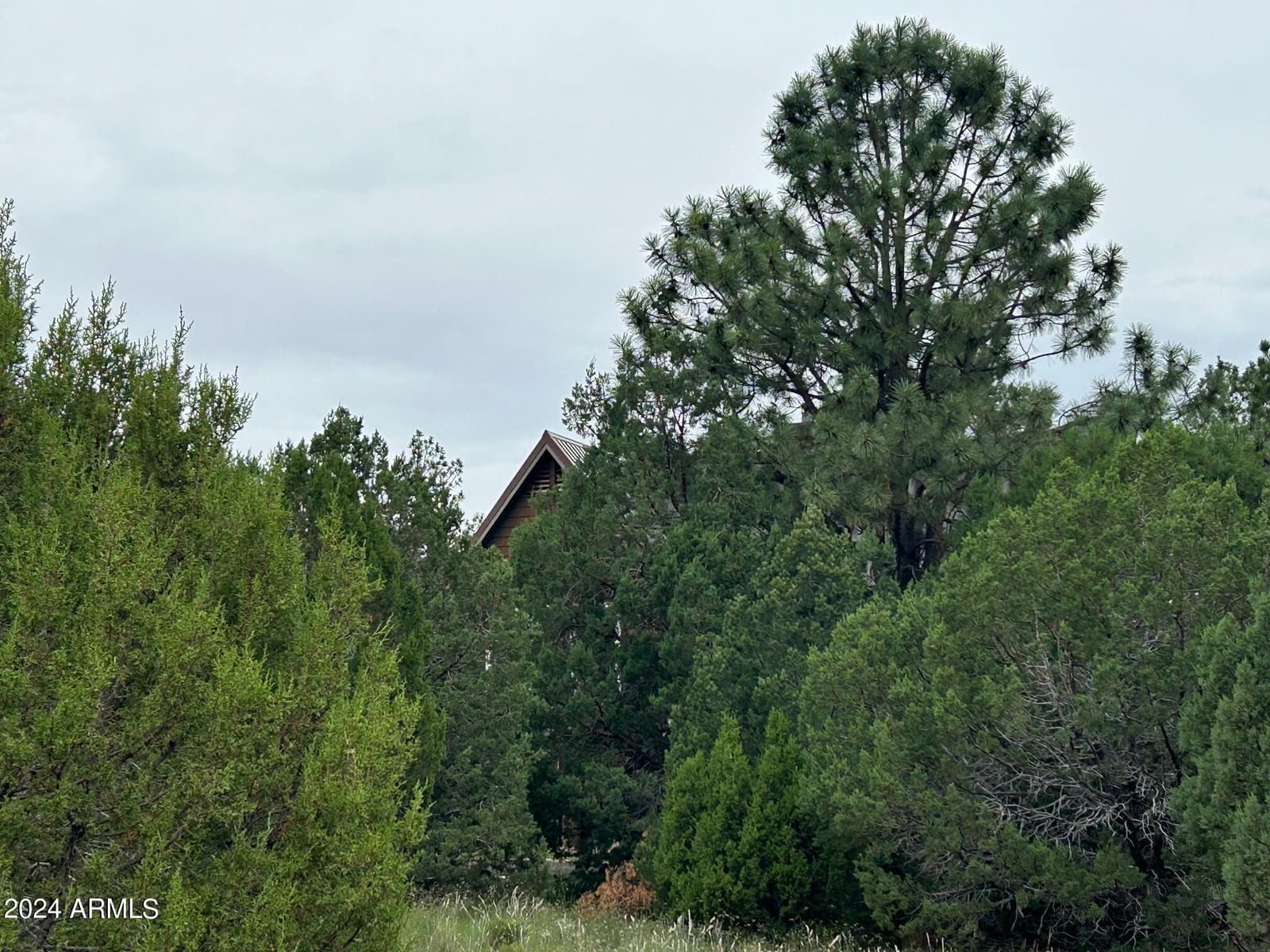 1467 COUNTY RD 3140, Vernon, AZ 85940 — photo 40 of 54