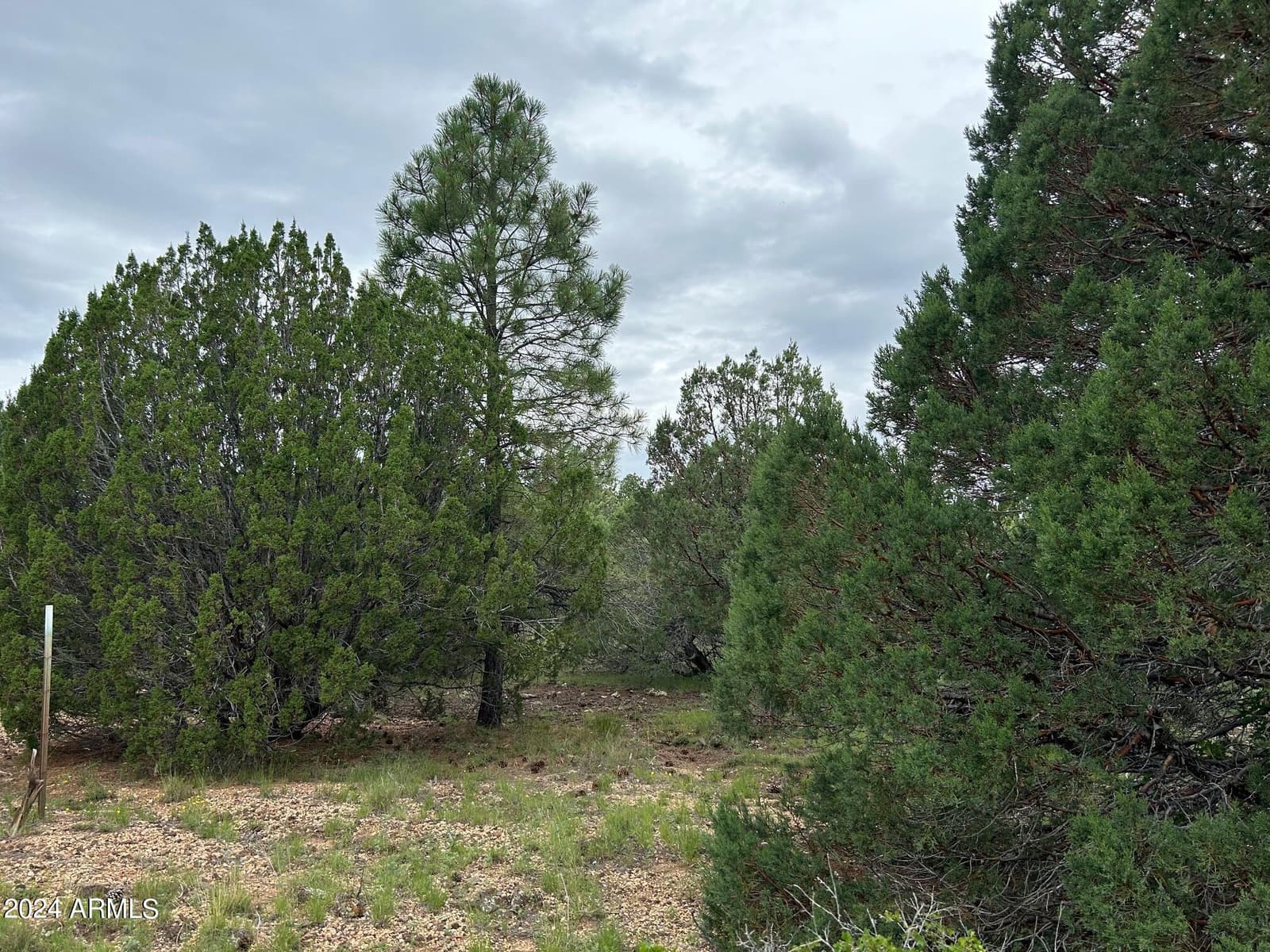 1467 COUNTY RD 3140, Vernon, AZ 85940 — photo 42 of 54