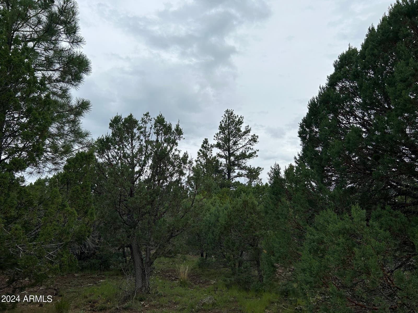 1467 COUNTY RD 3140, Vernon, AZ 85940 — photo 54 of 54