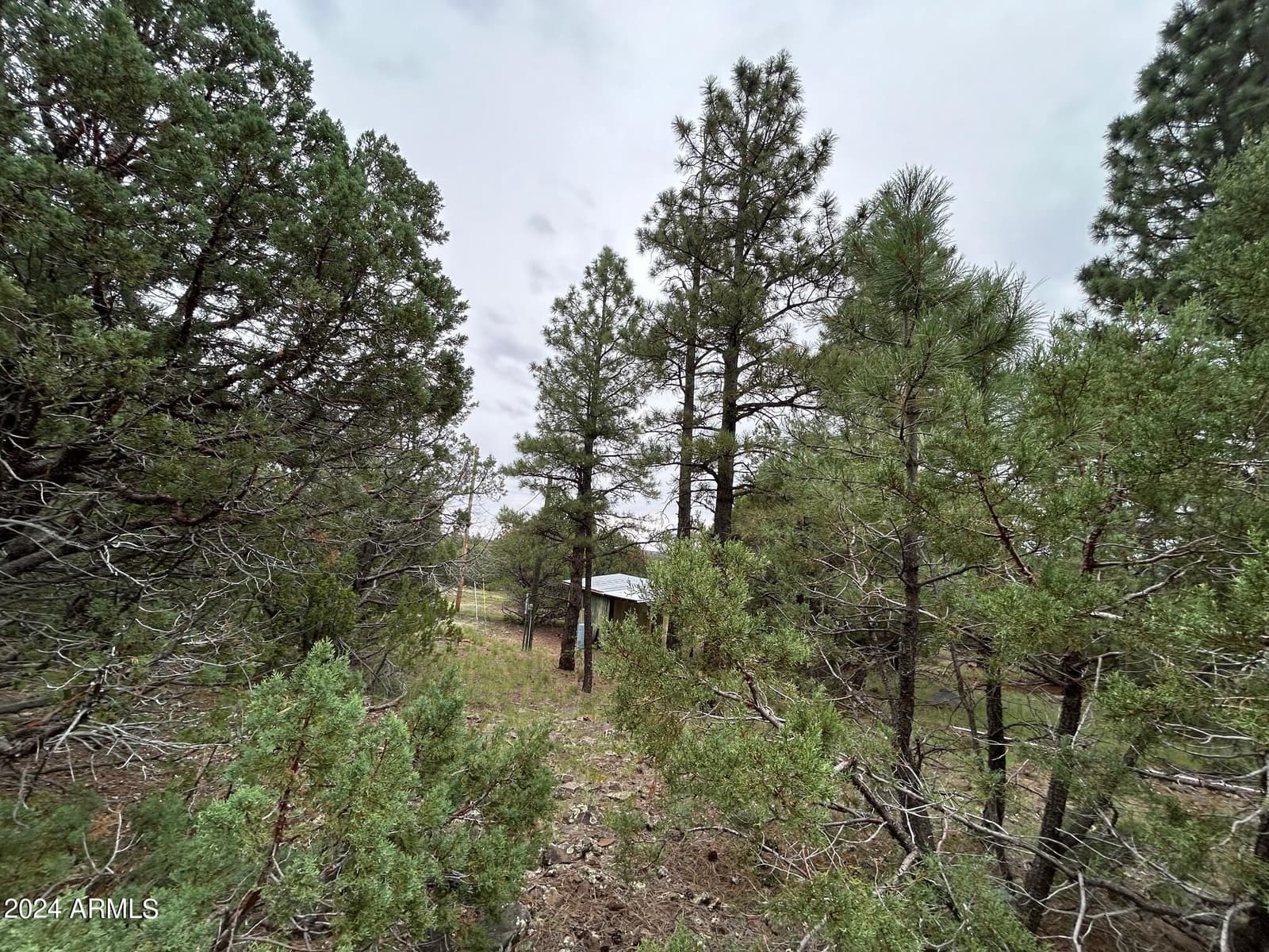 1467 COUNTY RD 3140, Vernon, AZ 85940 — photo 44 of 54