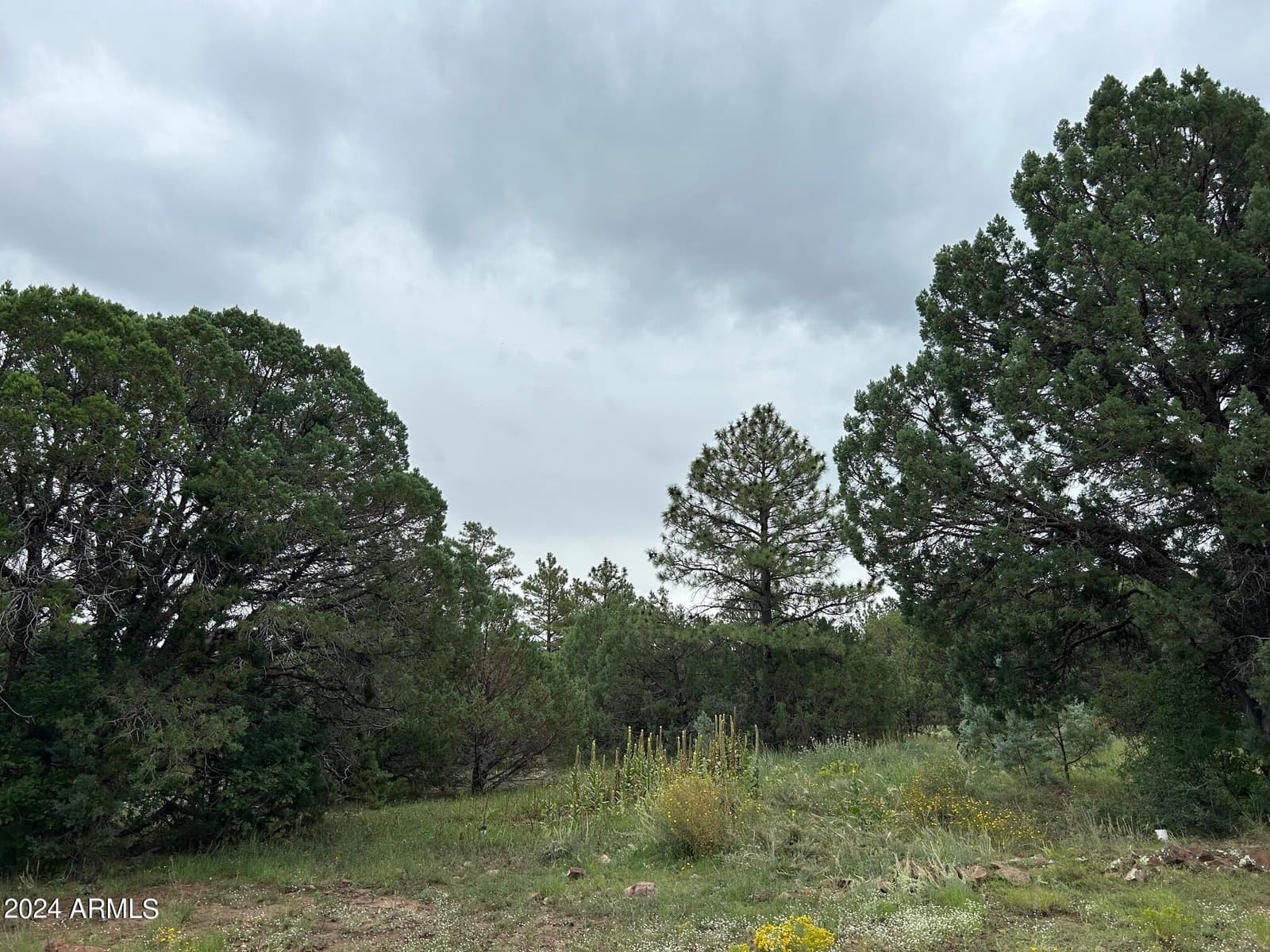 1467 COUNTY RD 3140, Vernon, AZ 85940 — photo 46 of 54