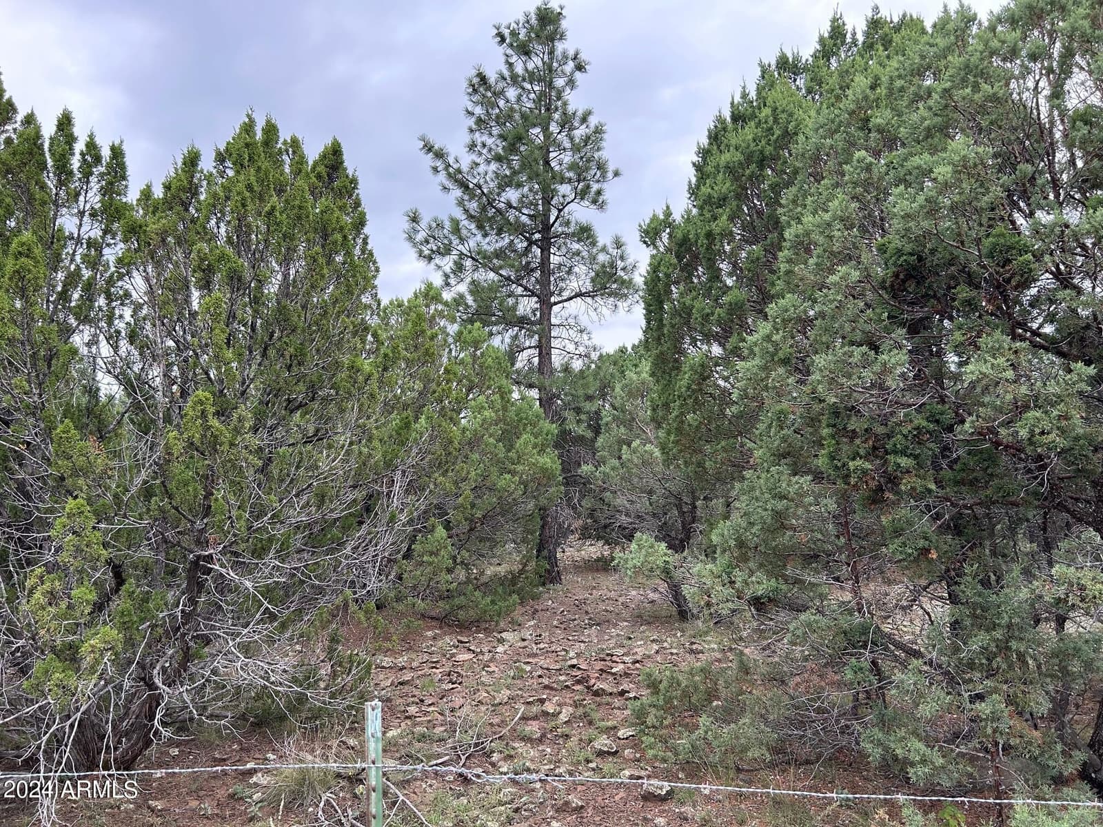 1467 COUNTY RD 3140, Vernon, AZ 85940 — photo 47 of 54