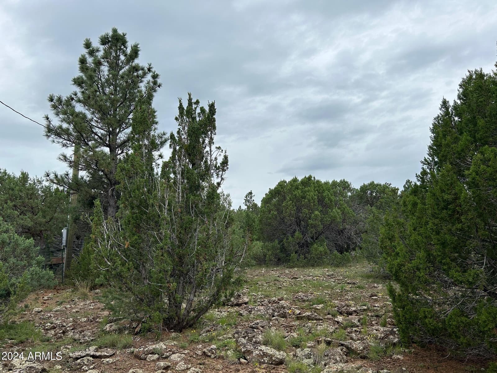 1467 COUNTY RD 3140, Vernon, AZ 85940 — photo 48 of 54