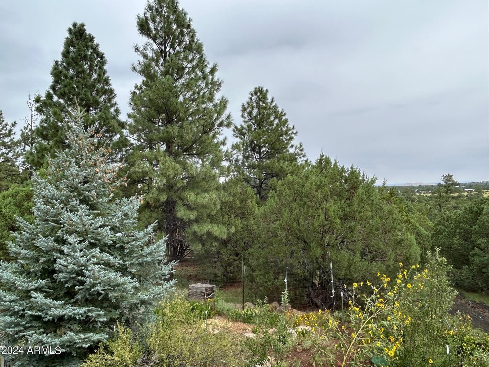 1467 COUNTY RD 3140, Vernon, AZ 85940 — photo 45 of 54