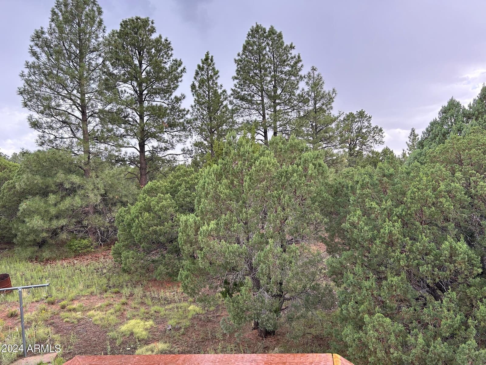 1467 COUNTY RD 3140, Vernon, AZ 85940 — photo 29 of 54