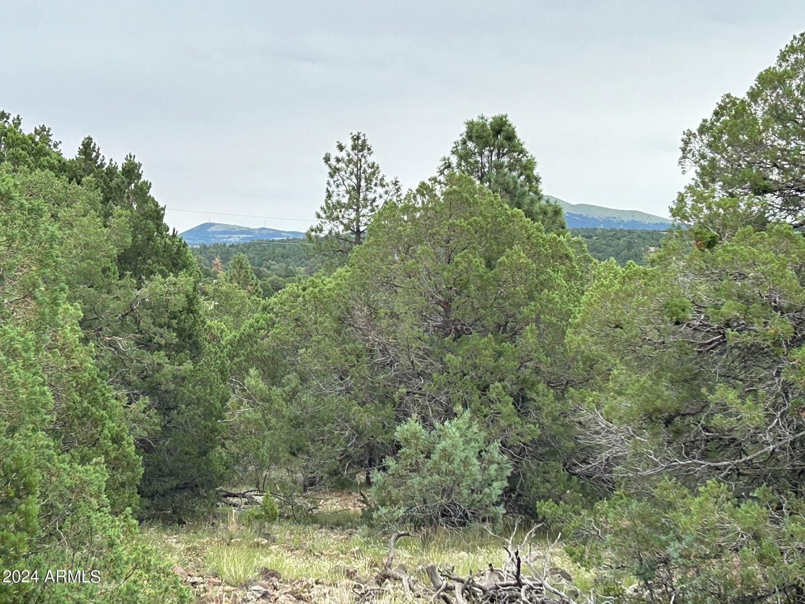 1467 COUNTY RD 3140, Vernon, AZ 85940 — photo 53 of 54