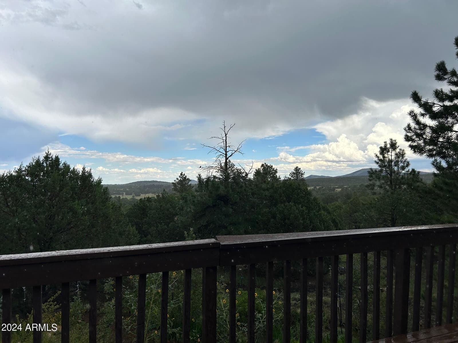 1467 COUNTY RD 3140, Vernon, AZ 85940 — photo 14 of 54