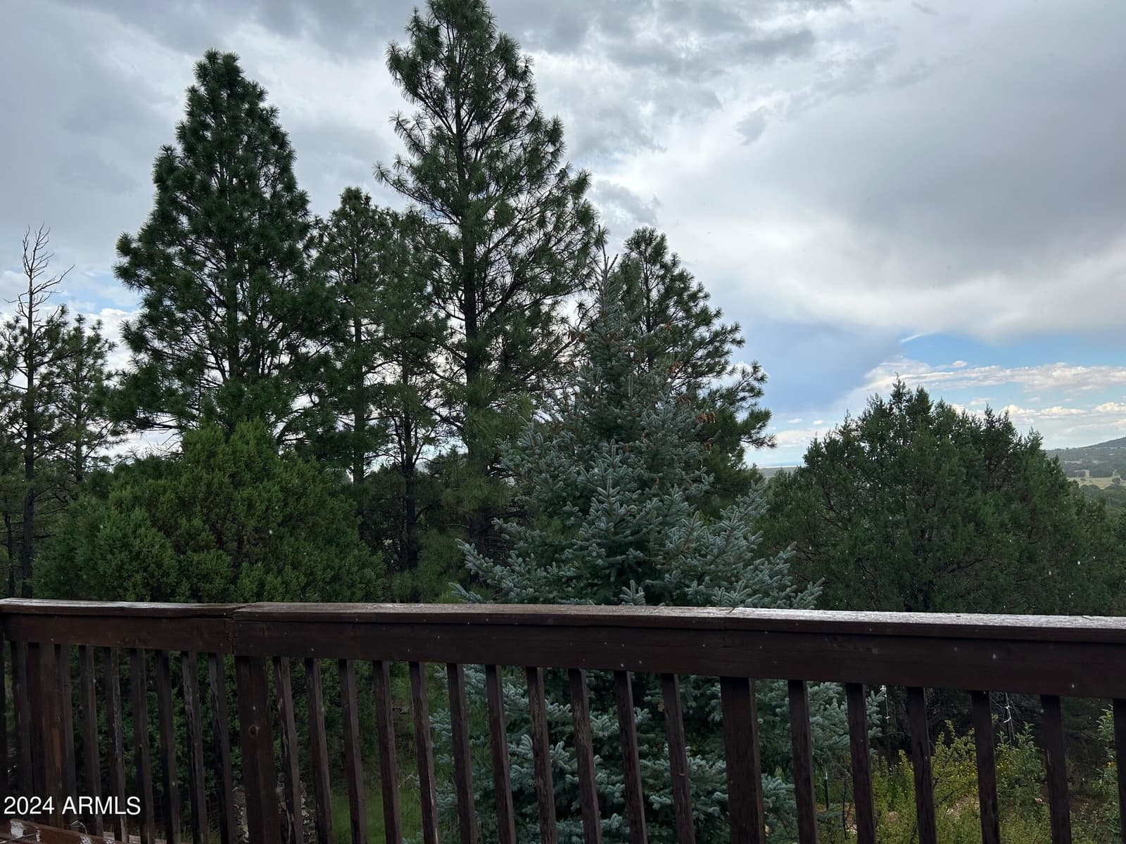 1467 COUNTY RD 3140, Vernon, AZ 85940 — photo 13 of 54