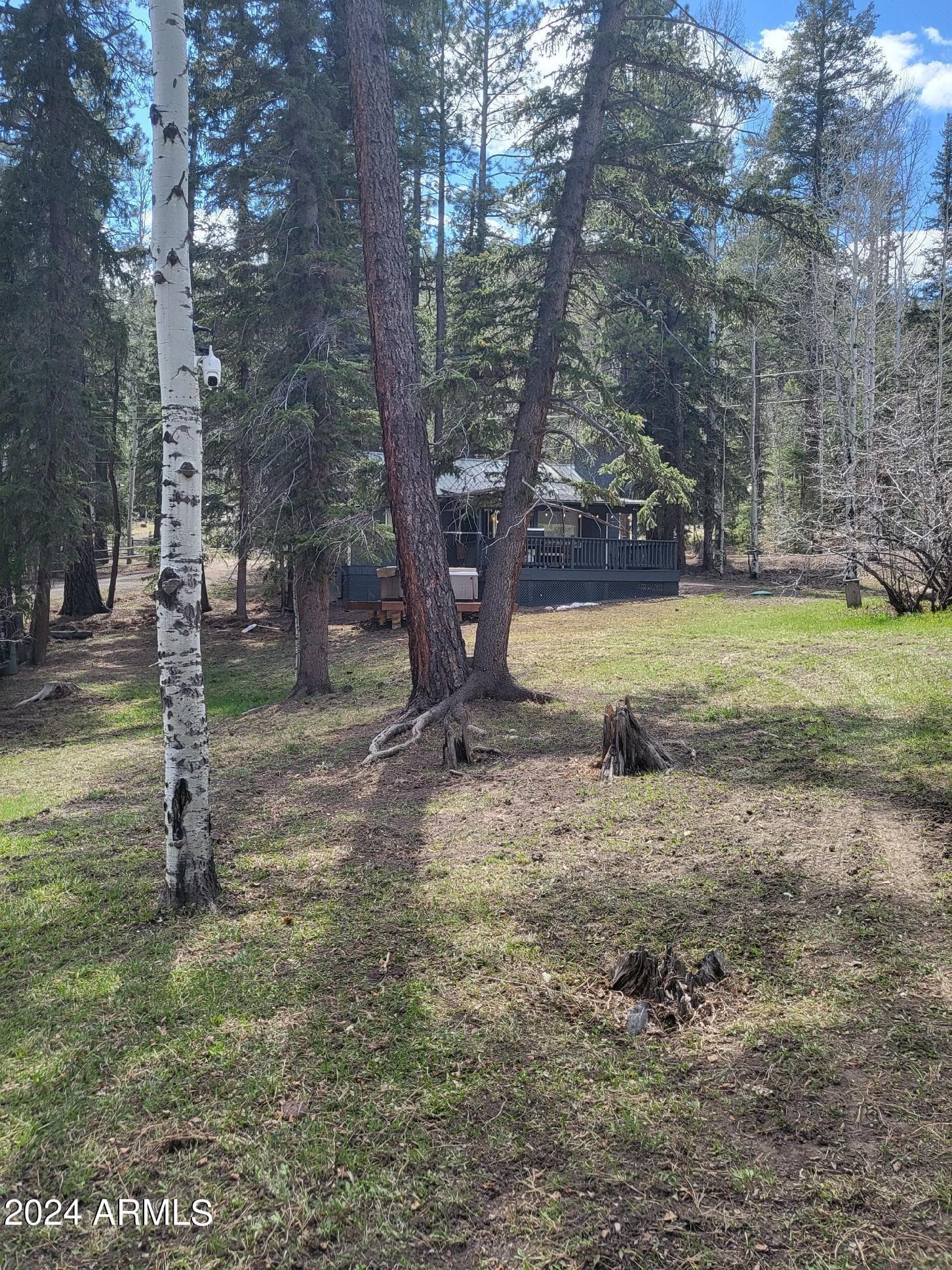 6 County Road 1007 6, Greer, AZ 85927 — photo 11 of 41
