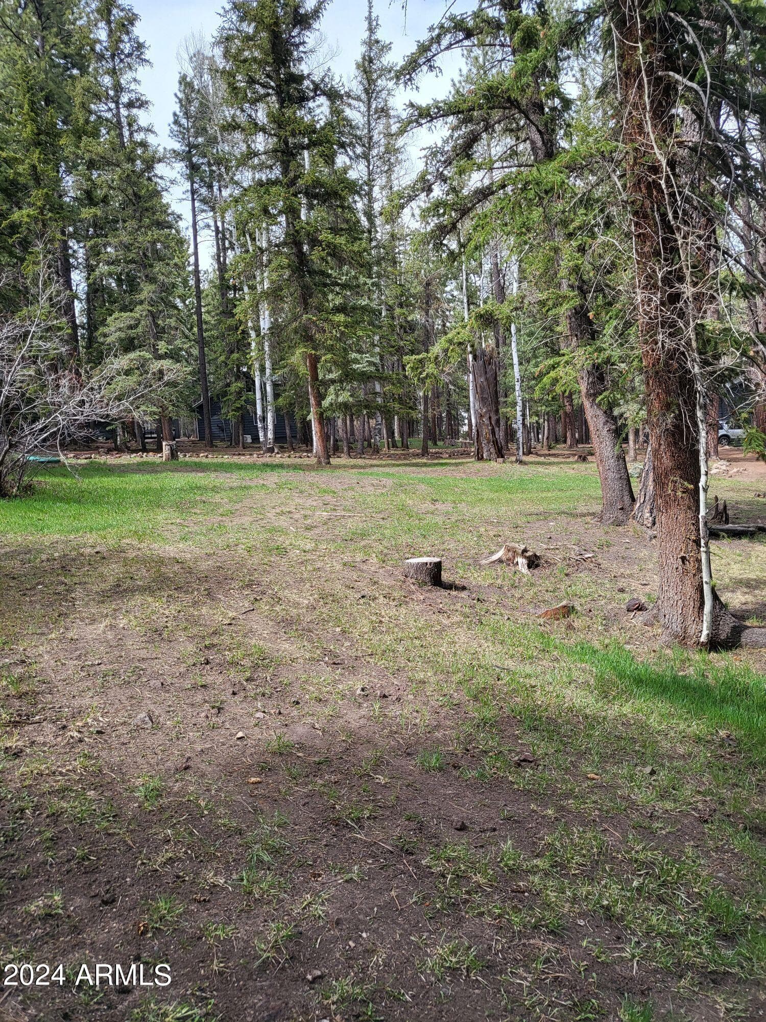 6 County Road 1007 6, Greer, AZ 85927 — photo 12 of 41