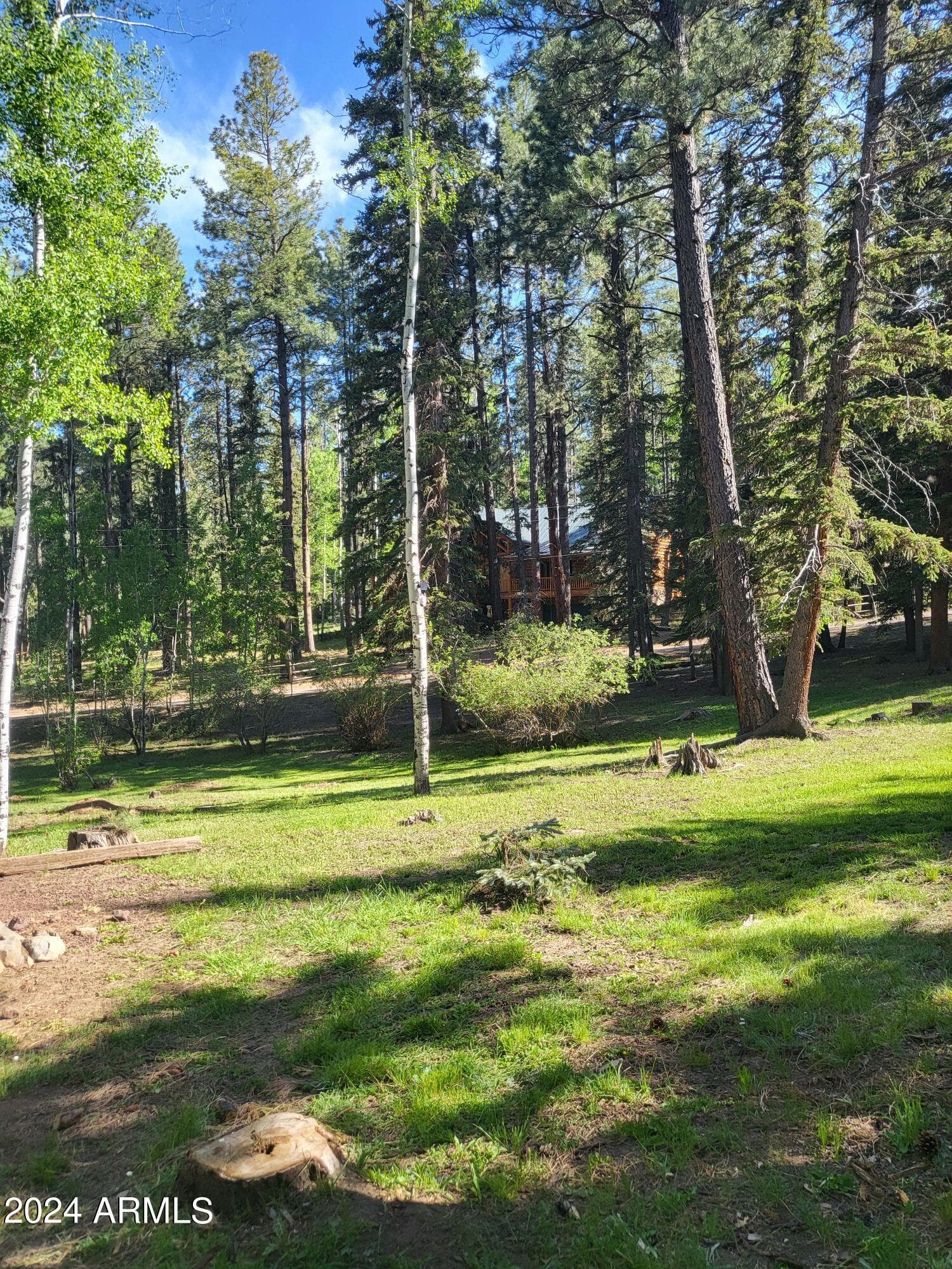 6 County Road 1007 6, Greer, AZ 85927 — photo 13 of 41