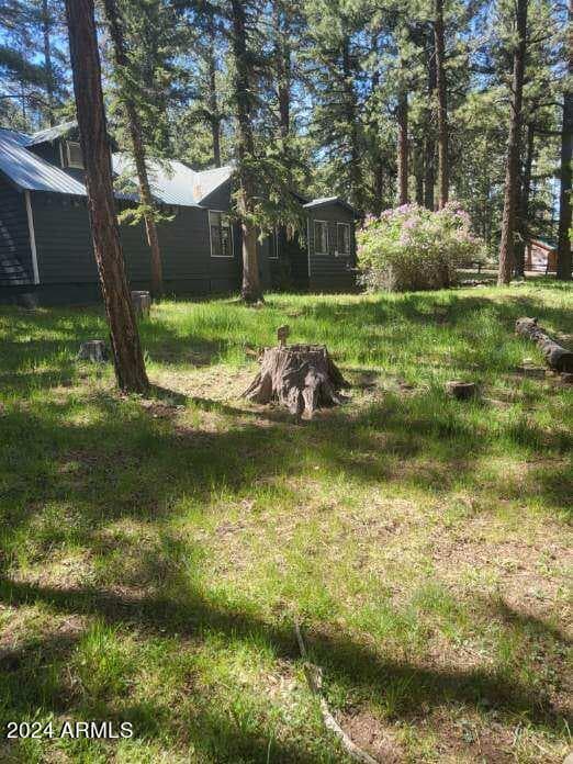 6 County Road 1007 6, Greer, AZ 85927 — photo 14 of 41