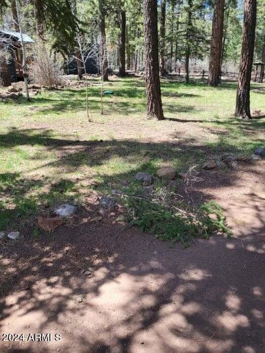 6 County Road 1007 6, Greer, AZ 85927 — photo 15 of 41