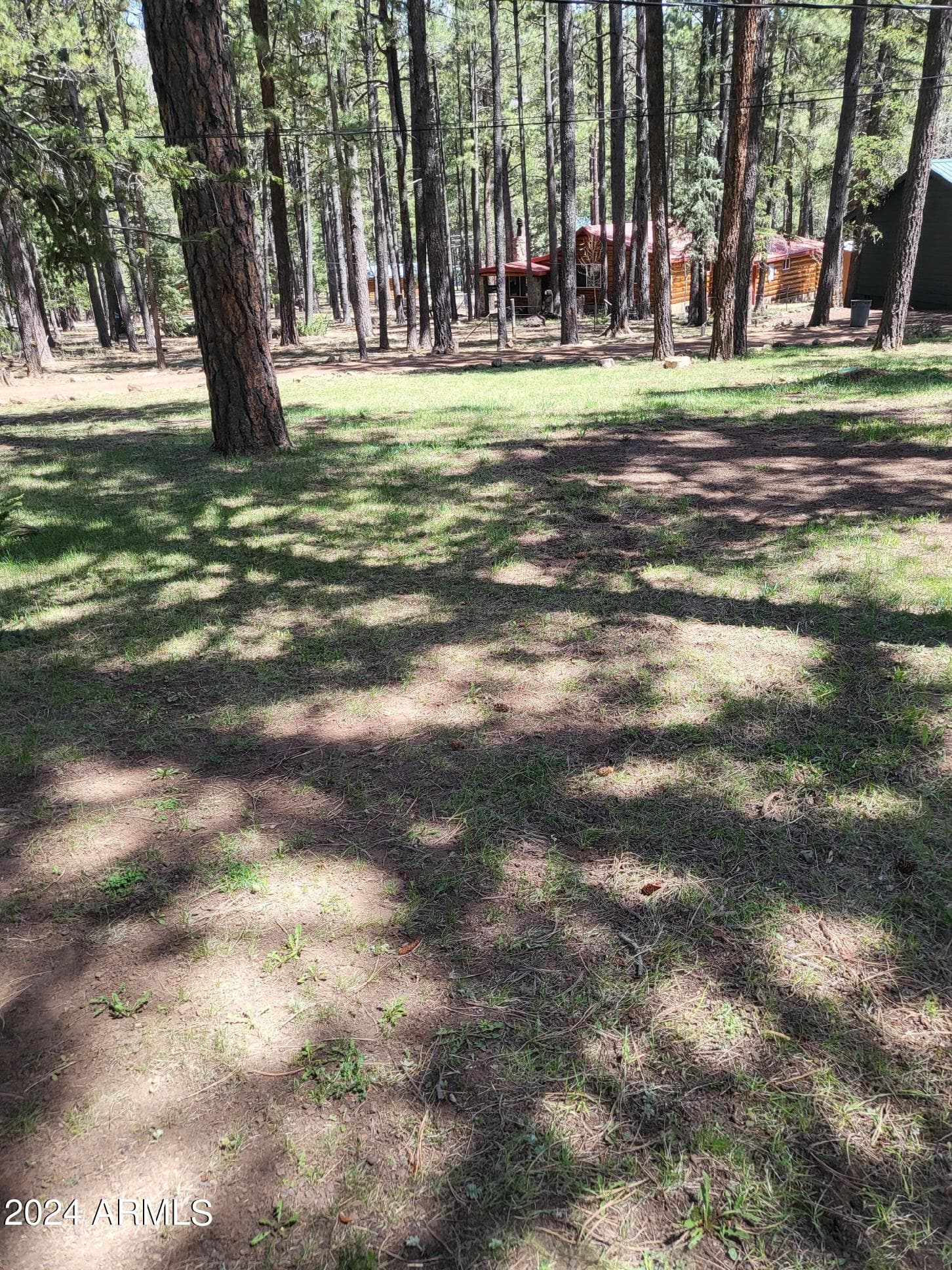 6 County Road 1007 6, Greer, AZ 85927 — photo 16 of 41