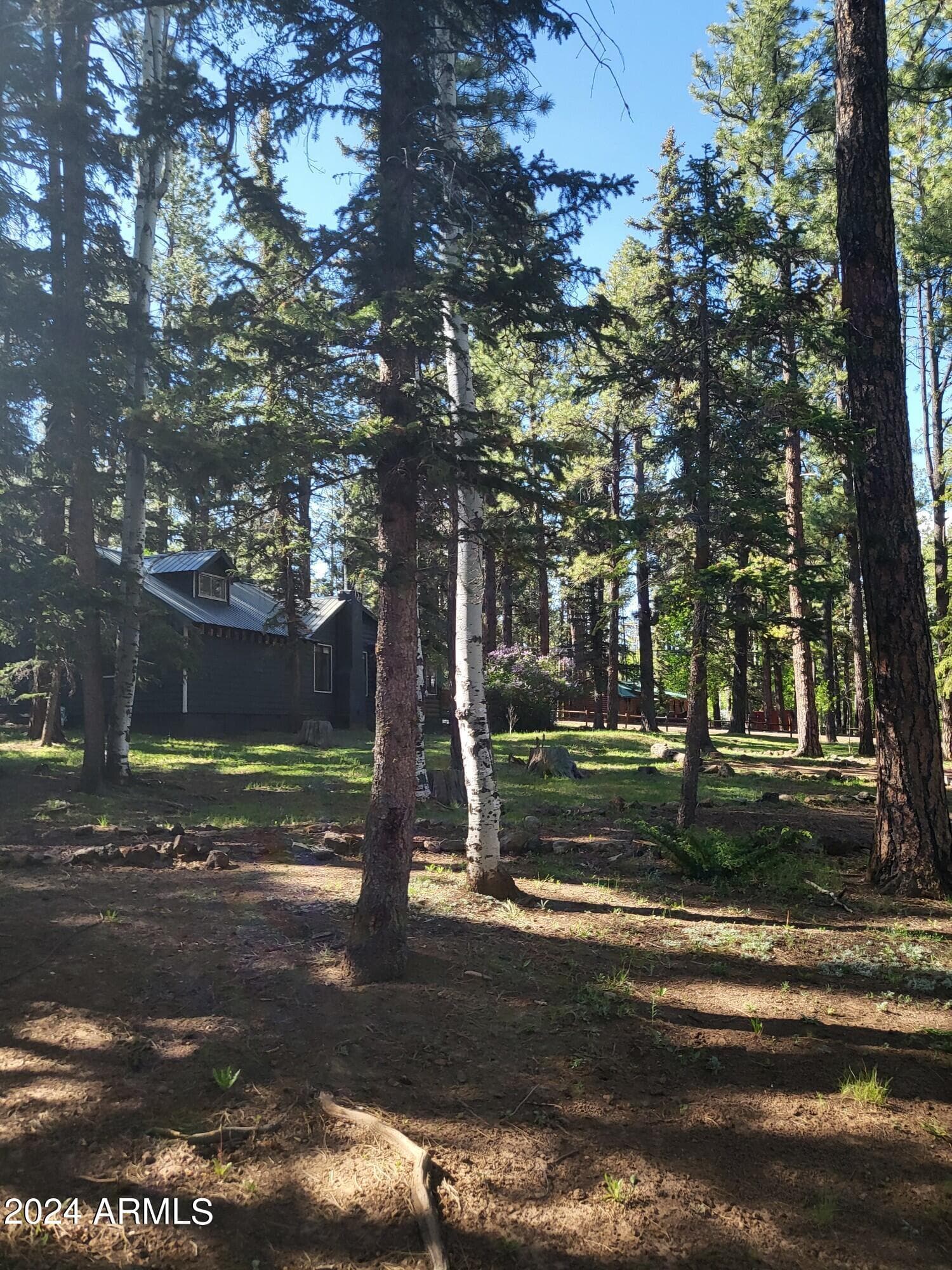 6 County Road 1007 6, Greer, AZ 85927 — photo 17 of 41