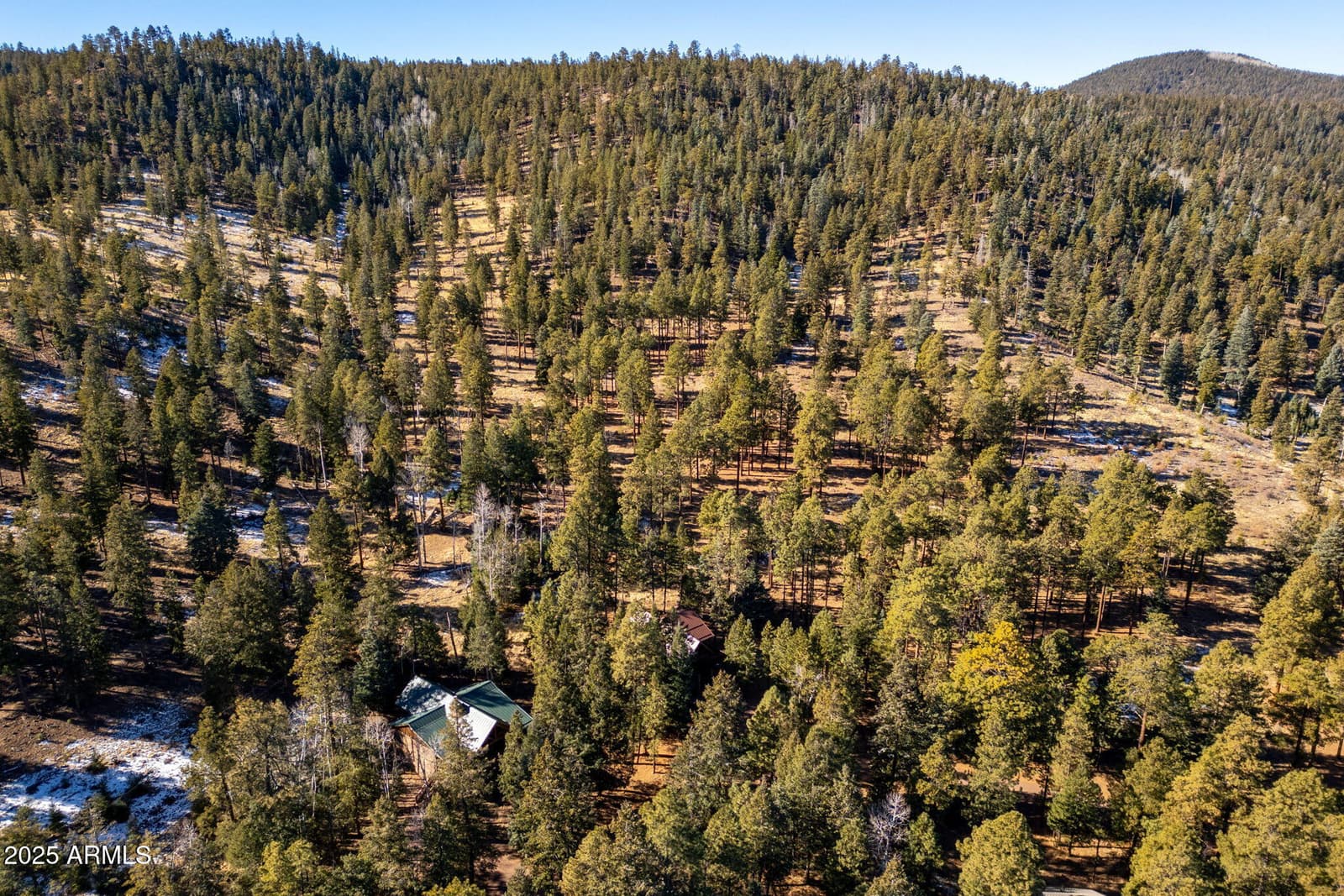 90 N 1330 Road, Greer, AZ 85927 — photo 8 of 41