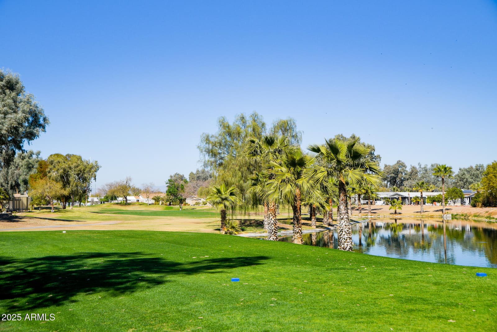 11201 N EL MIRAGE Road F88, El Mirage, AZ 85335 — photo 40 of 52