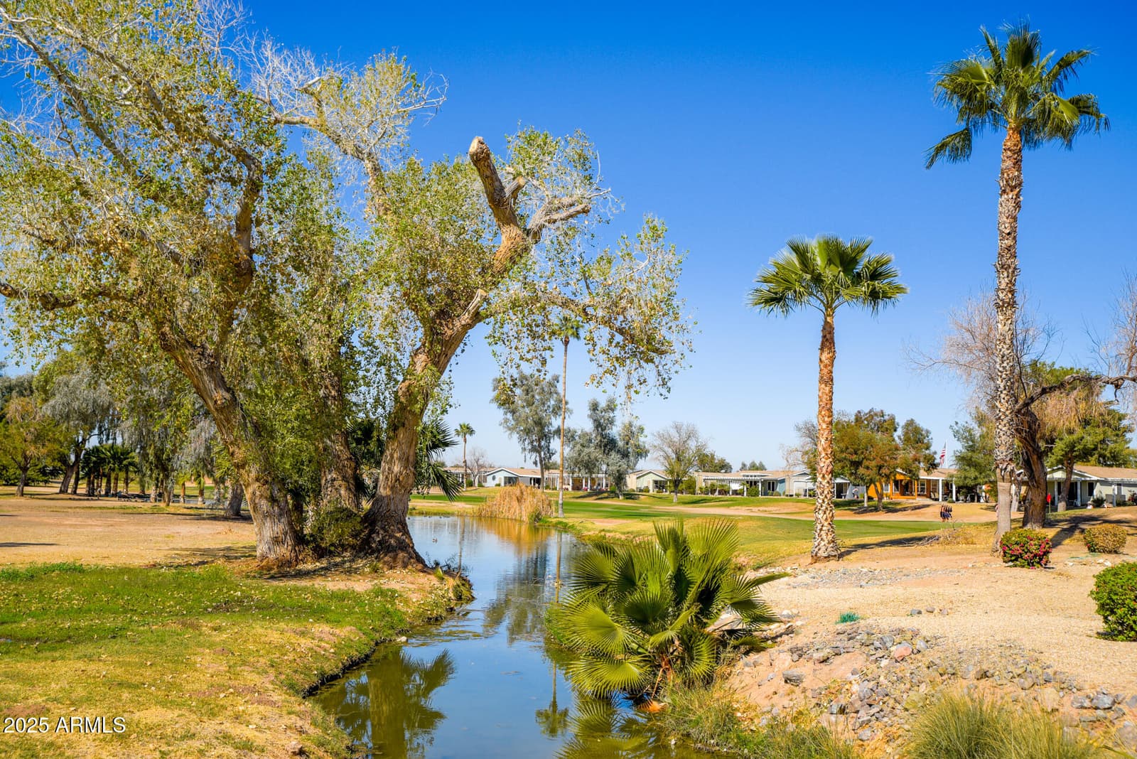11201 N EL MIRAGE Road F88, El Mirage, AZ 85335 — photo 41 of 52