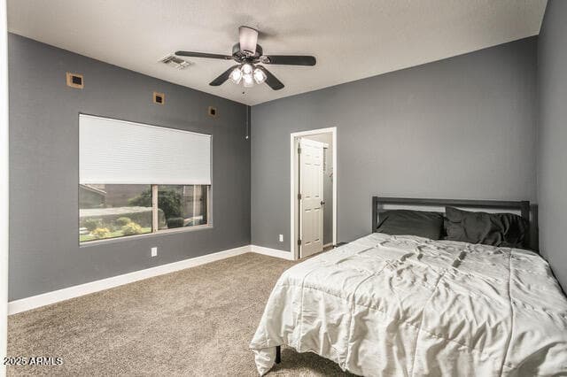 44566 W HIGH DESERT Trail, Maricopa, AZ 85139 — photo 25 of 55