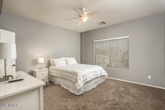 44566 W HIGH DESERT Trail, Maricopa, AZ 85139 — photo 28 of 55
