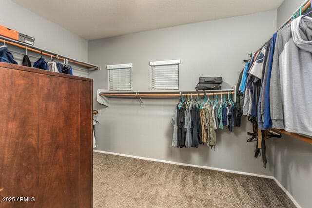 44566 W HIGH DESERT Trail, Maricopa, AZ 85139 — photo 29 of 55