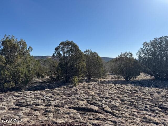 411 W Edgewood Drive, Williams, AZ 86046 — photo 10 of 15