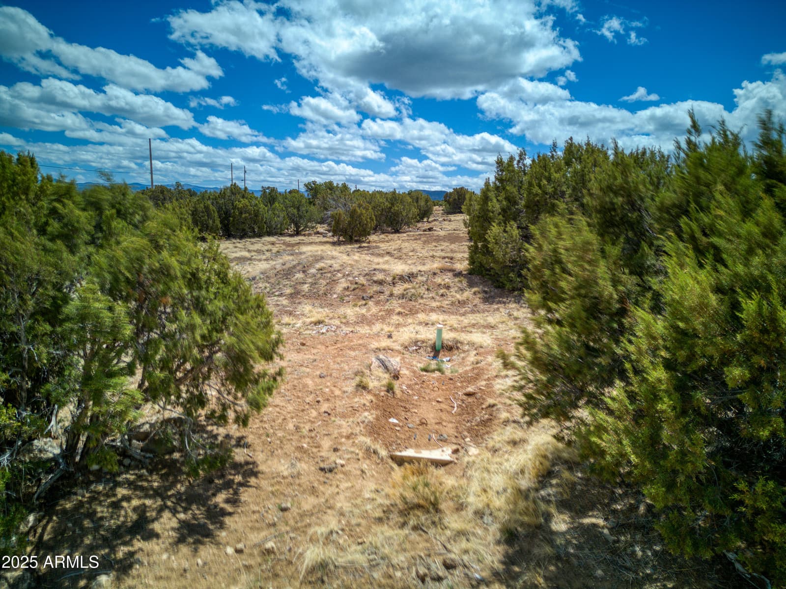 26 County Road 8006 Road, Concho, AZ 85924 — photo 26 of 29