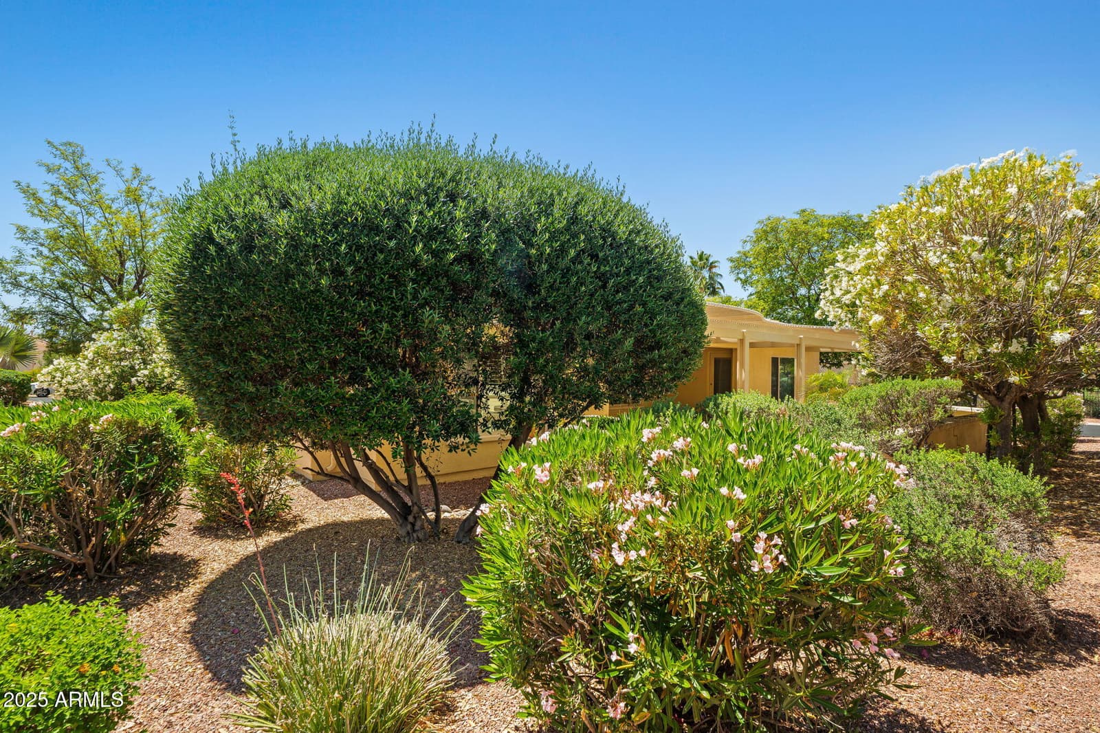 13134 W LOS BANCOS Court, Sun City West, AZ 85375 — photo 42 of 44