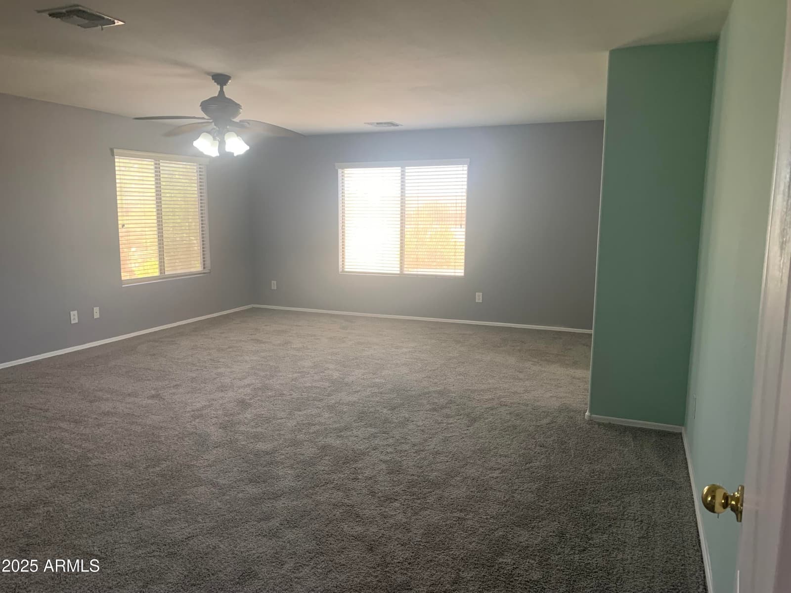 35743 W CARTEGNA Lane, Maricopa, AZ 85138 — photo 59 of 101