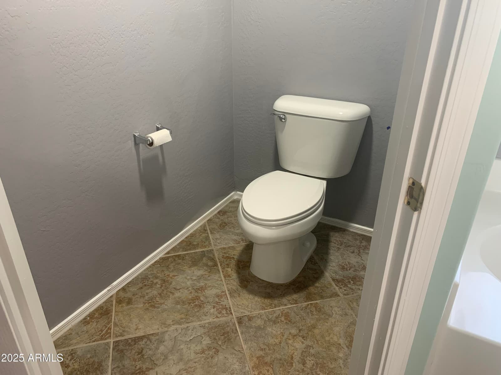 35743 W CARTEGNA Lane, Maricopa, AZ 85138 — photo 68 of 101