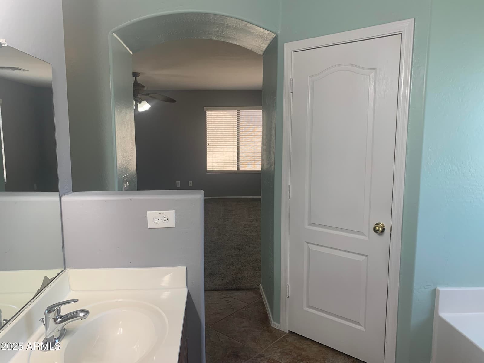 35743 W CARTEGNA Lane, Maricopa, AZ 85138 — photo 71 of 101