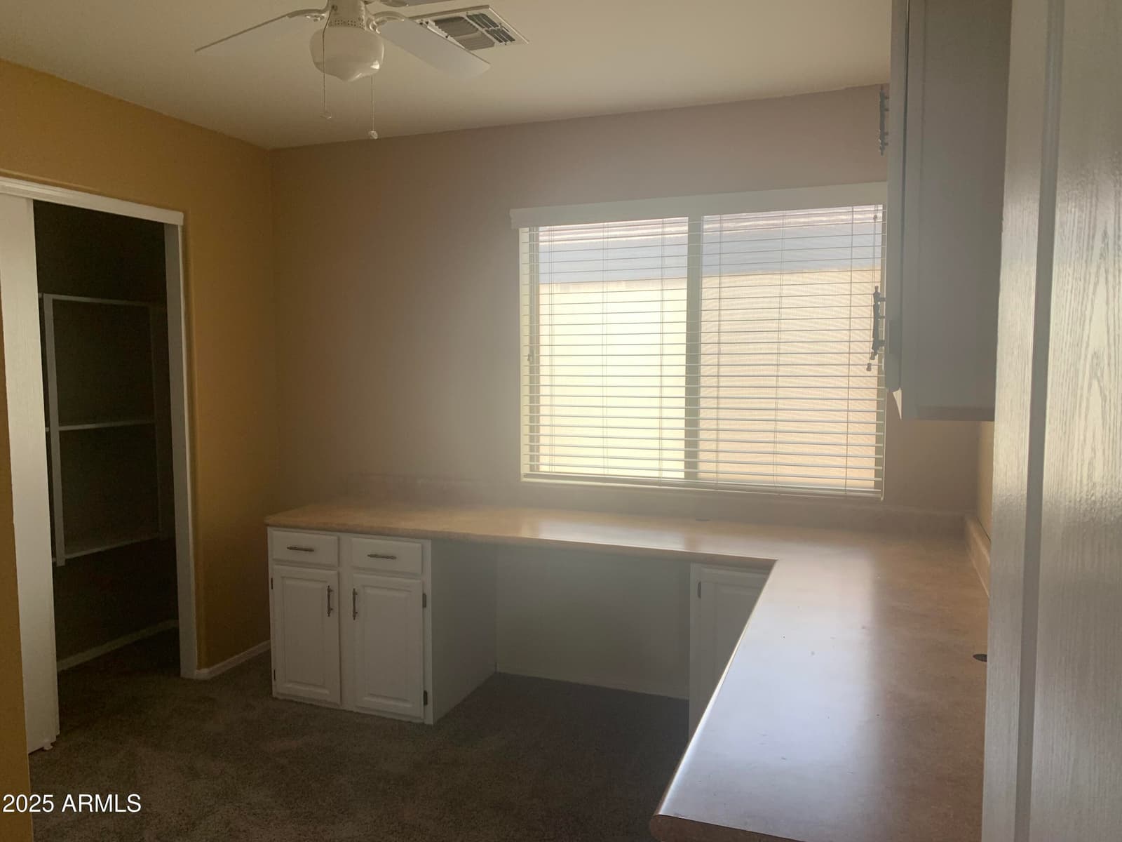 35743 W CARTEGNA Lane, Maricopa, AZ 85138 — photo 88 of 101