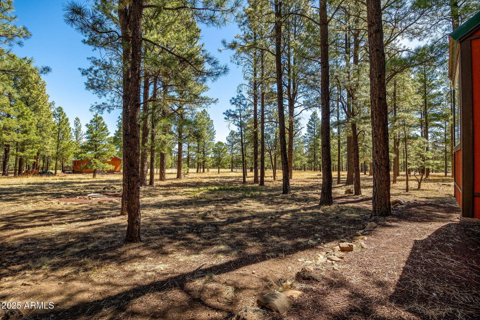 11 N COUNTY ROAD N1030 Street, Greer, AZ 85927 — photo 25 of 27