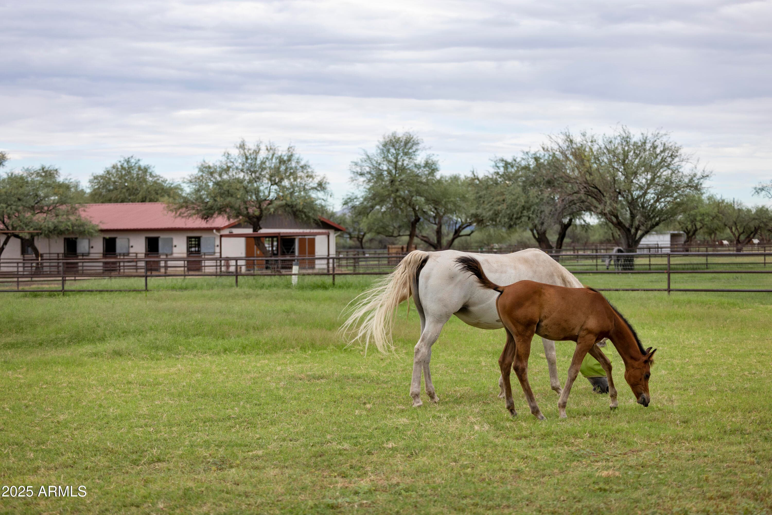 3155 W Elephant Head Road, Amado, AZ 85645 — photo 58 of 79