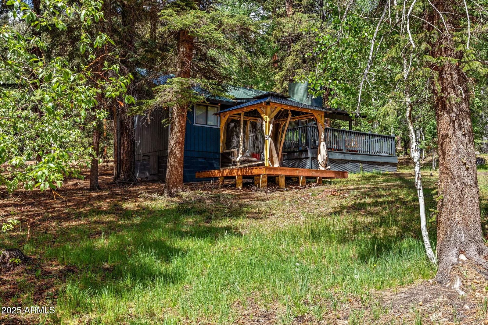 6 County Road 1007 6, Greer, AZ 85927 — photo 5 of 41