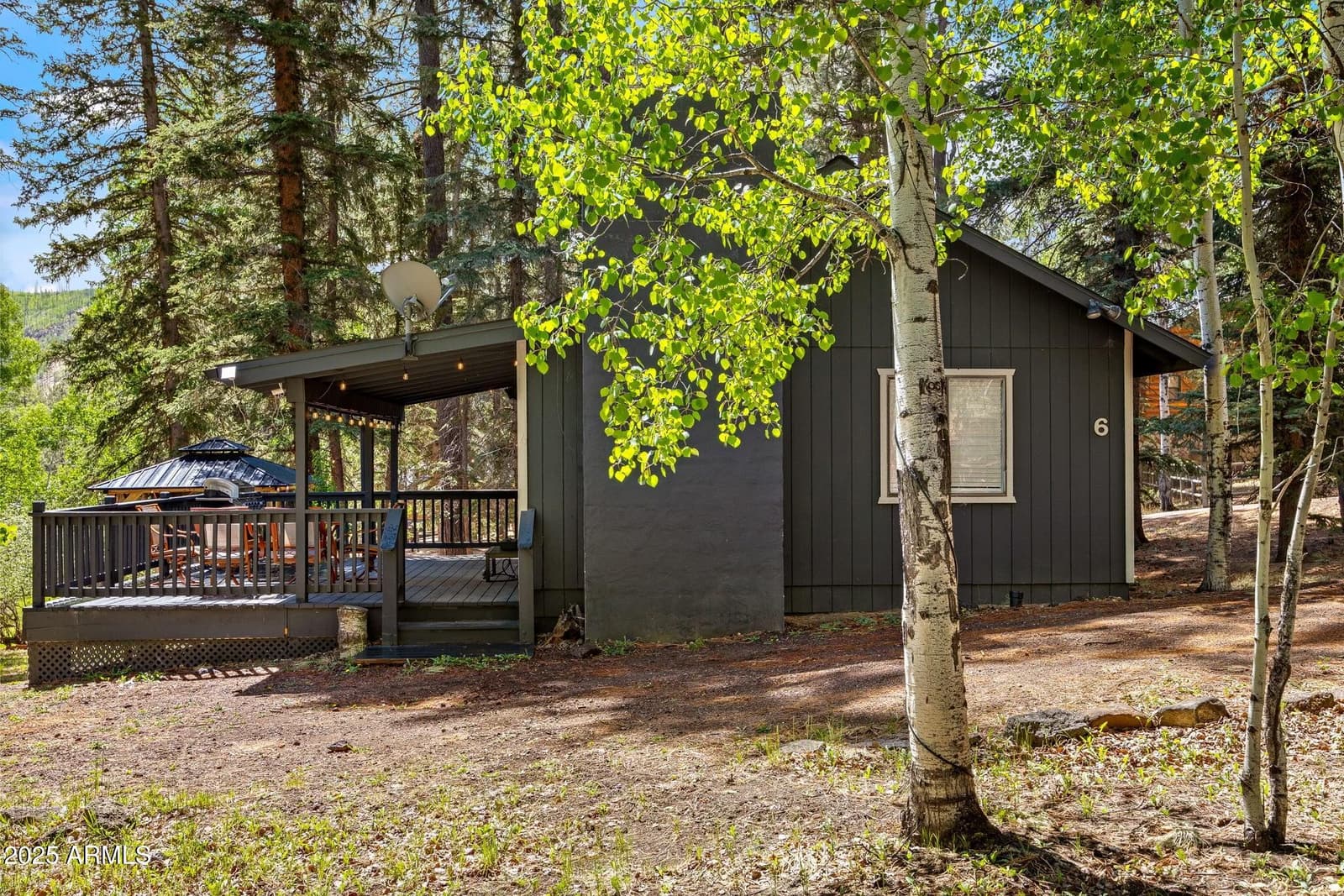 6 County Road 1007 6, Greer, AZ 85927 — photo 10 of 41