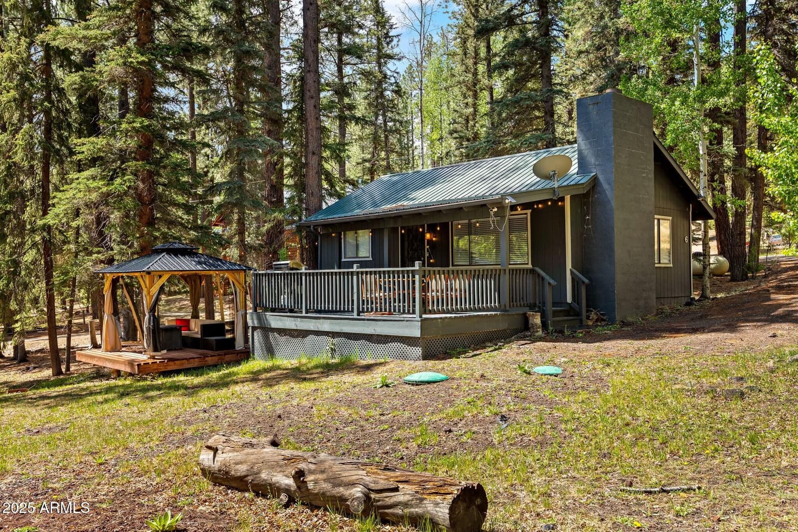 6 County Road 1007 6, Greer, AZ 85927 — photo 2 of 41