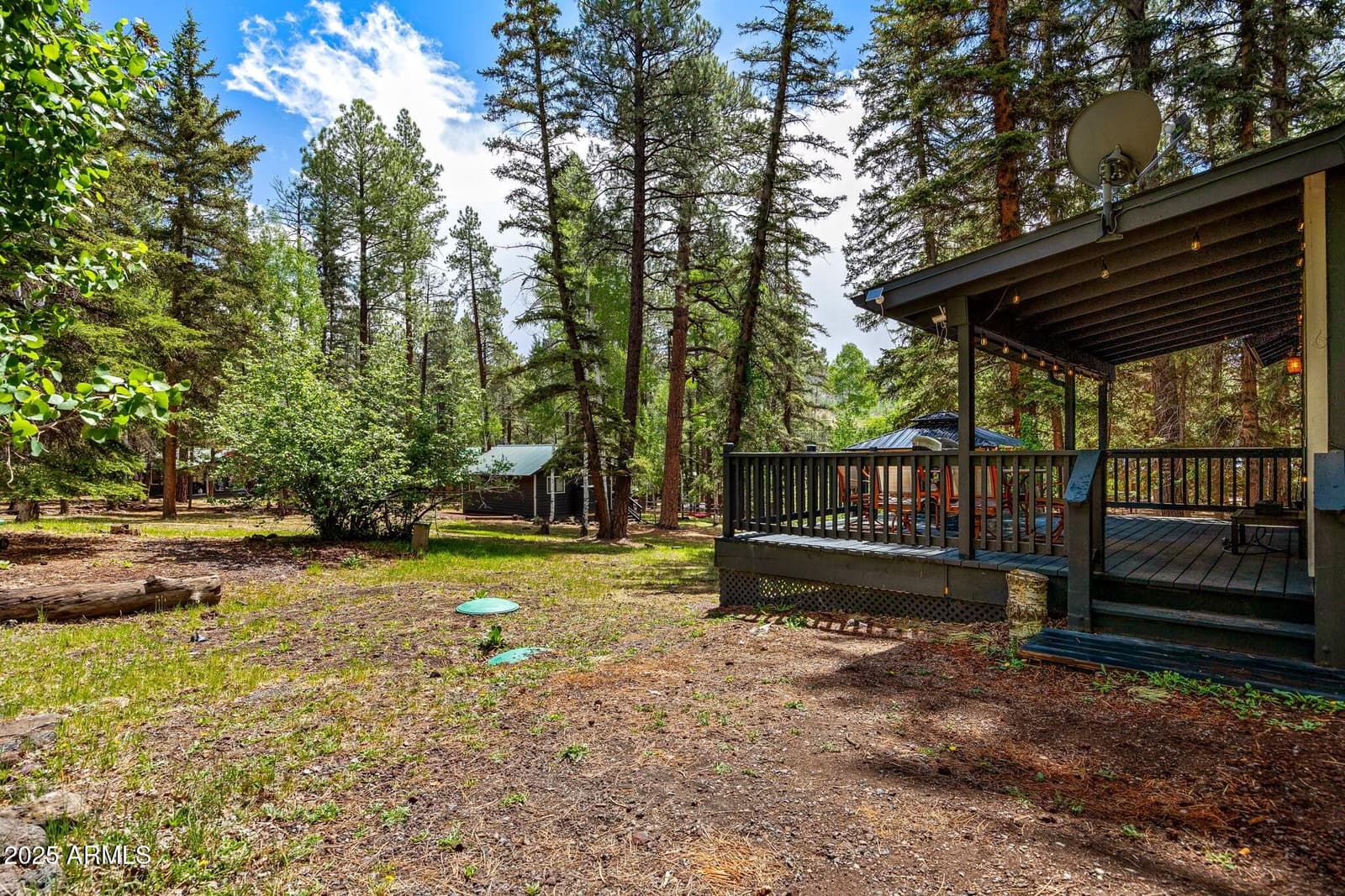6 County Road 1007 6, Greer, AZ 85927 — photo 3 of 41