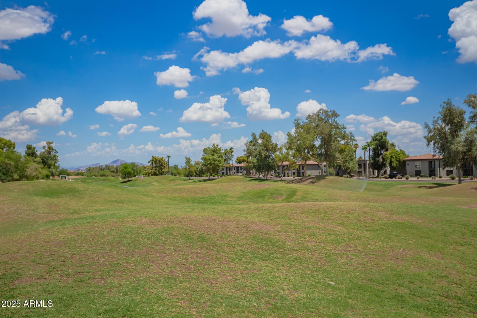 8817 S 51ST Street 1, Phoenix, AZ 85044 — photo 43 of 55