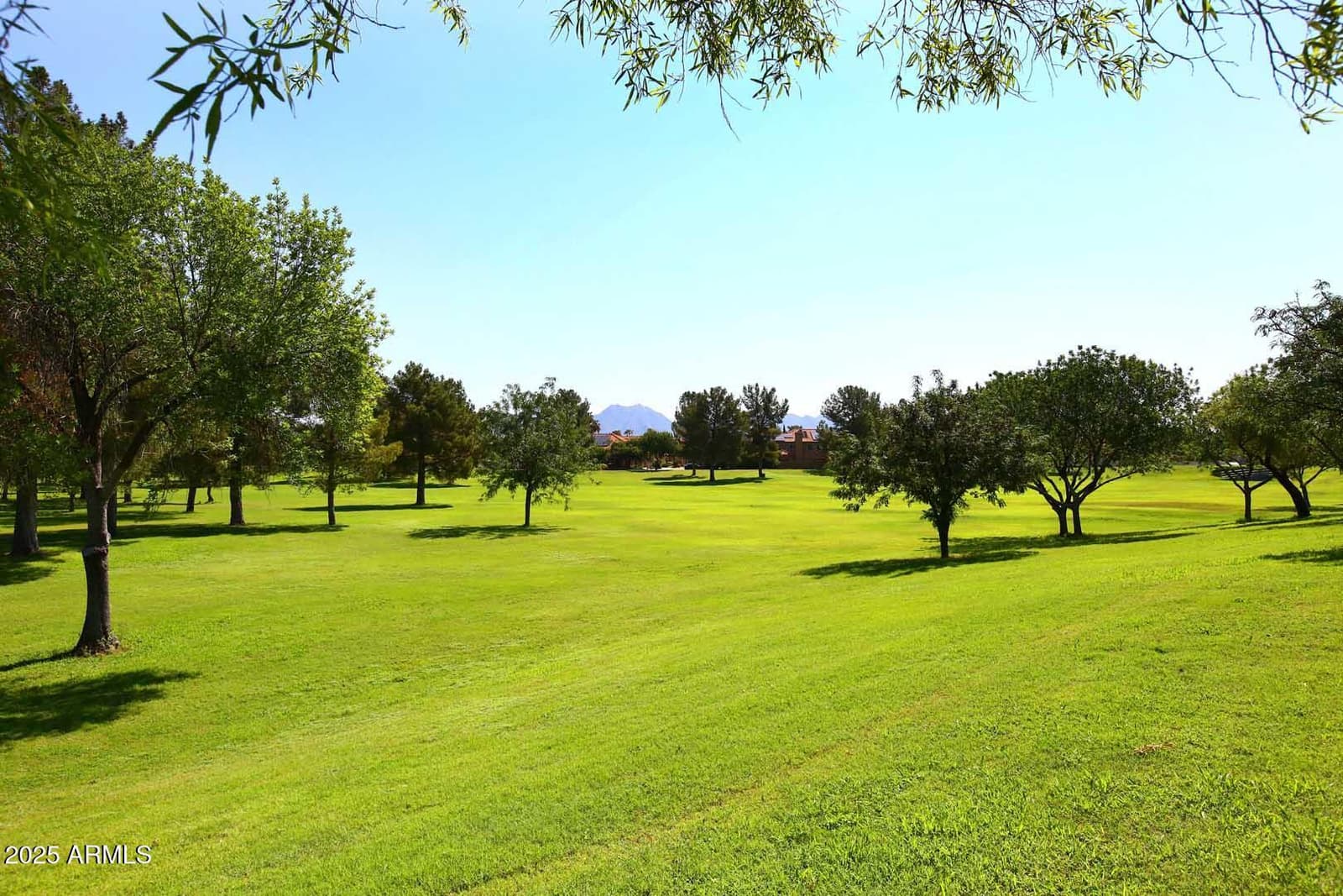 6323 E NISBET Road, Scottsdale, AZ 85254 — photo 44 of 50