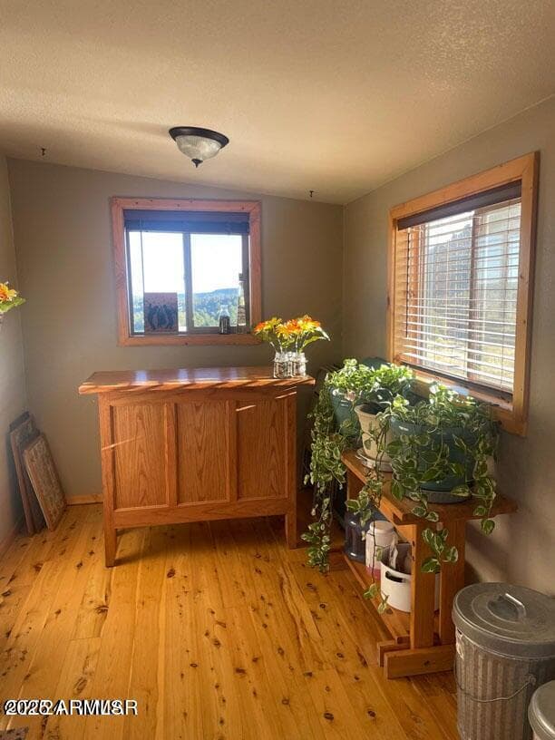 41451 HWY 180, Nutrioso, AZ 85932 — photo 13 of 68