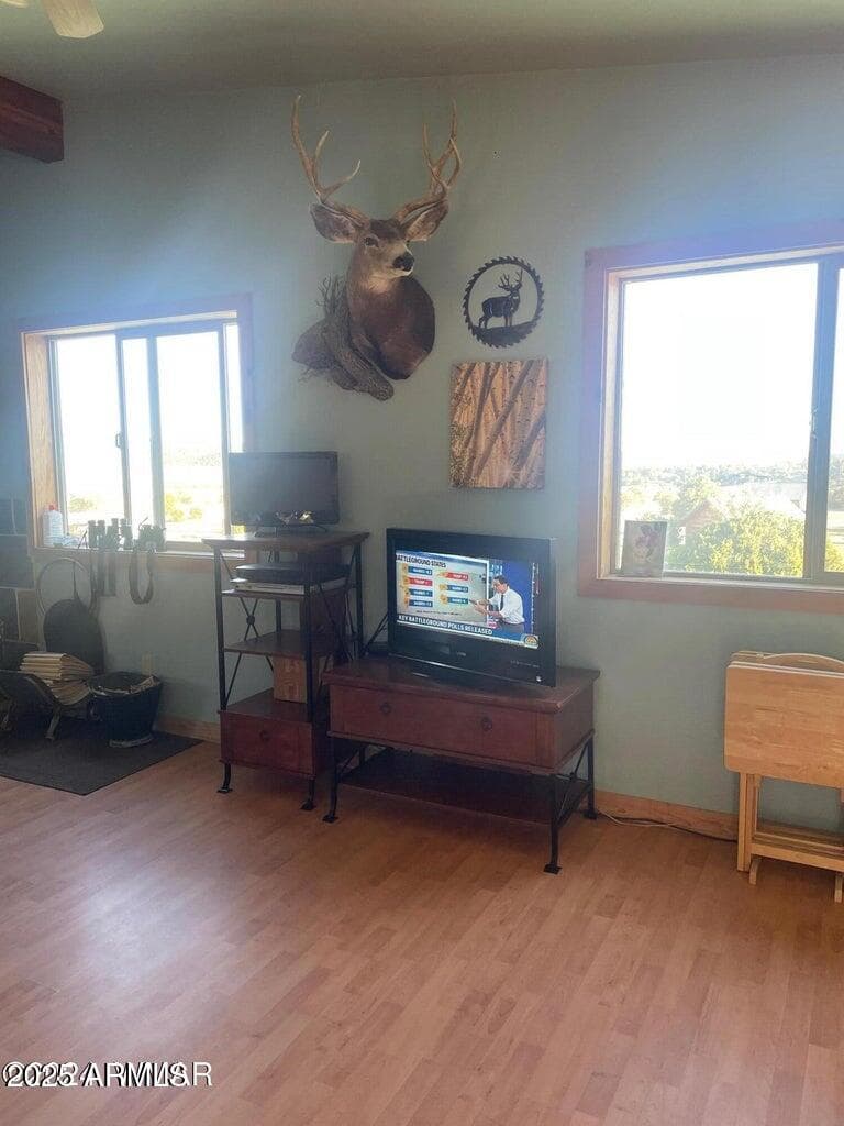 41451 HWY 180, Nutrioso, AZ 85932 — photo 17 of 68