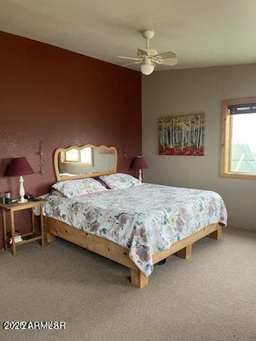 41451 HWY 180, Nutrioso, AZ 85932 — photo 28 of 68