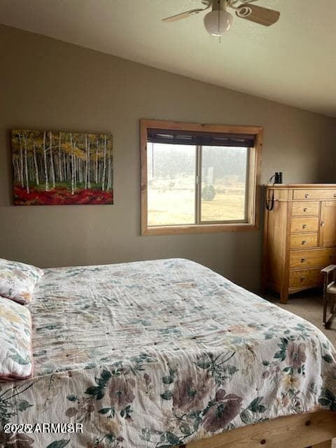 41451 HWY 180, Nutrioso, AZ 85932 — photo 29 of 68